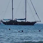 Alex 51 Larnaca