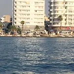 Alex 51
