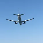 Alex 51 Larnaca