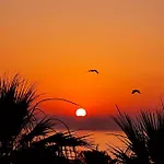 Lejlighed Alex 51 Larnaca