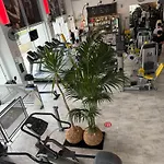 Apartman Alex 51 *