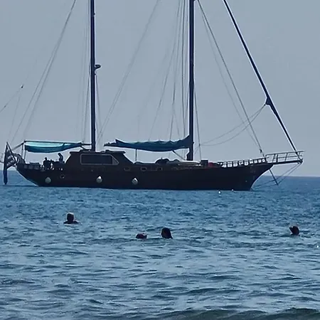 Alex Beach 51 라르나카