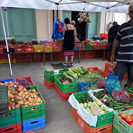 Alex 51 Apartamento *