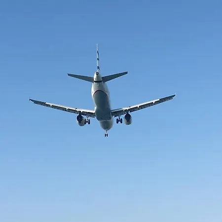 Alex 51 לרנקה