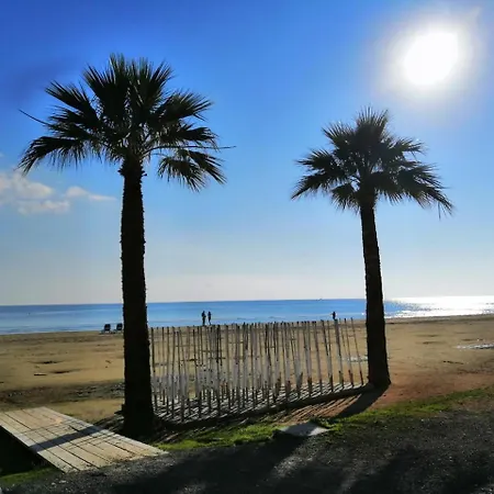 Alex Beach 51 *