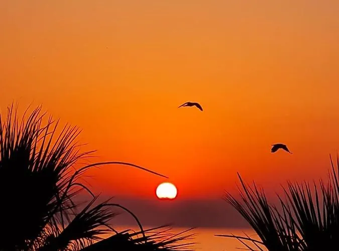 Apartmán Alex 51 Larnaca