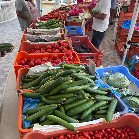 Alex 51 Larnaca